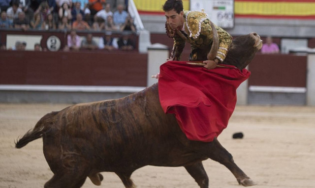 Η εκδίκηση του ταύρου: Έβγαλε νοκ άουτ τον ταυρομάχο τρυπώντας τον στο λαιμό (video & pics)