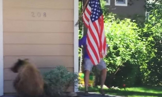 Και όμως! Ένας άνθρωπος μπορεί να τρομάξει μια… αρκούδα! (video)