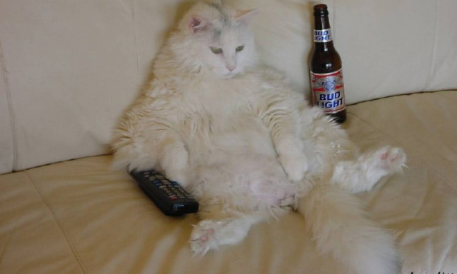 Οι 10 καλύτερες  εφευρέσεις για… τεμπέληδες! (video)