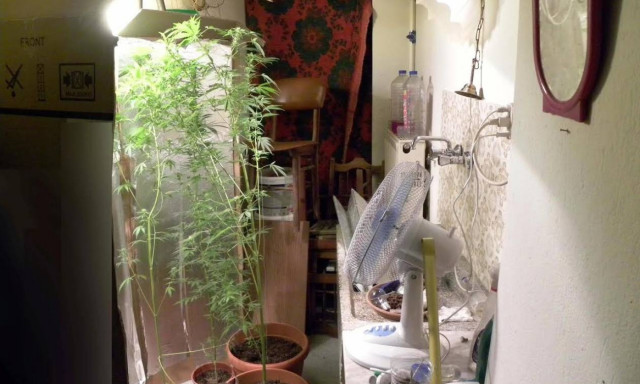 Βόλος: Συλλήψεις διακίνηση και καλλιέργεια ναρκωτικών