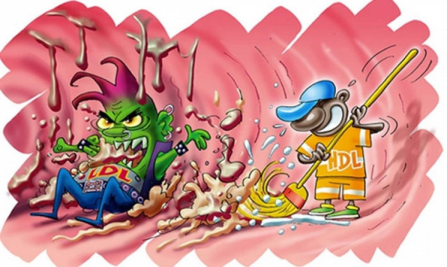 Ελλ.Εταιρεία Αθηροσκλήρωσης: Όσο πιο χαμηλά η “κακή” χοληστερόλη, τόσο καλύτερη η υγεία της καρδιάς