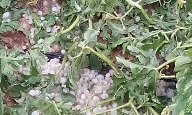 Ρουπάκι: Σοβαρές καταστροφές από χαλαζόπτωση (video & pics)