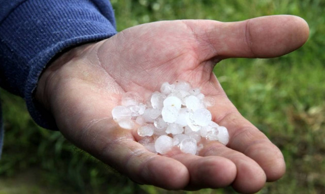 Καταστροφές σε καλλιέργειες από τη χαλαζόπτωση σε Φθιώτιδα, Καστοριά και Κοζάνη