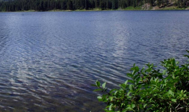 Πρωτοβουλία της Περιφέρειας Αττικής για τον υγρότοπο Μπρεξίζα στην Αν. Αττική