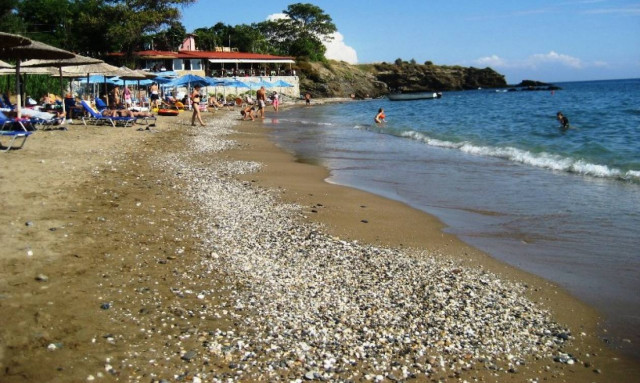 Ασυνήθιστος επισκέπτης σε ακτή της Αλεξανδρούπολης (photo)