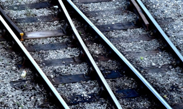 Φρικιαστικό εύρημα: Βρήκαν στο δρόμο 9 εγκεφάλους (photo)