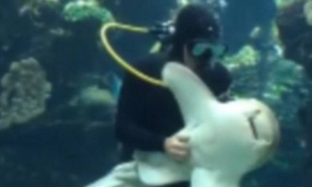 Και όμως, αυτός ο καρχαρίας «τρελαίνεται» για… χάδια. Ανθρώπου! (video)