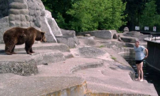 Εισέβαλε στο «κλουβί» αρκούδας και τη χτύπησε στο κεφάλι... (photos)