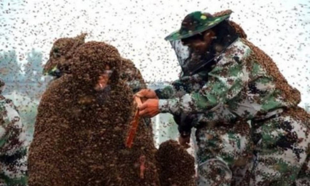 Κάλυψε το σώμα του με ένα εκατομμύριο μέλισσες και μπήκε στο Γκίνες (video)