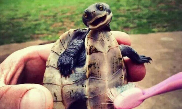 Ναι ναι τρίψε λίγο ακόμα εκεί (photos)