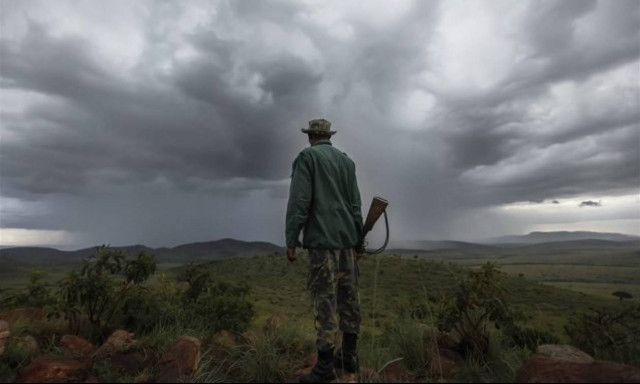 Ξάνθη: Πήγαν για κυνήγι και συνέλαβαν λαθροκυνηγούς