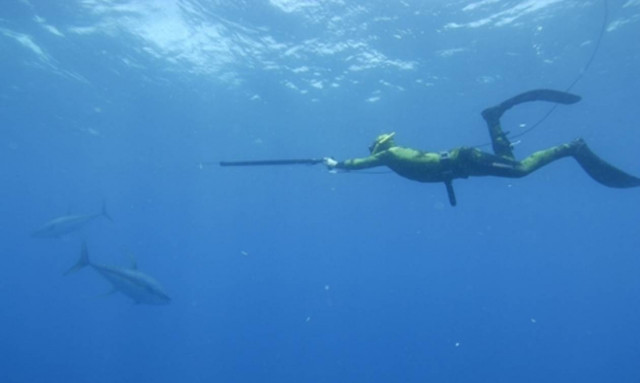 Αγνοείται ψαροντουφεκάς στο Λασίθι - Σε εξέλιξη έρευνες για τον εντοπισμό του
