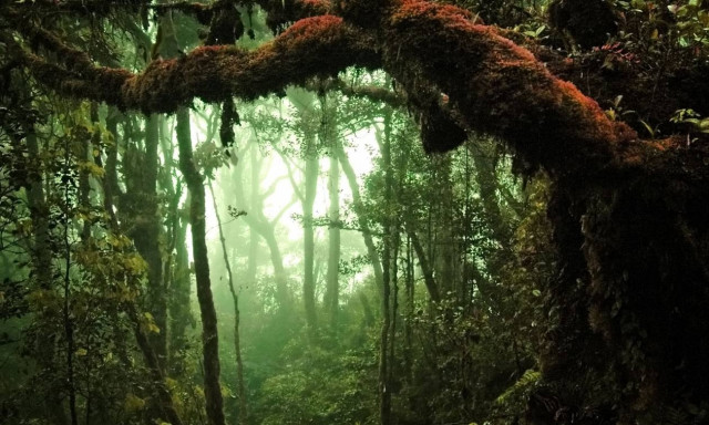 Αυτό είναι το πιο επικίνδυνο ζώο στον κόσμο που ευθύνεται για 725 χιλιάδες θανάτους