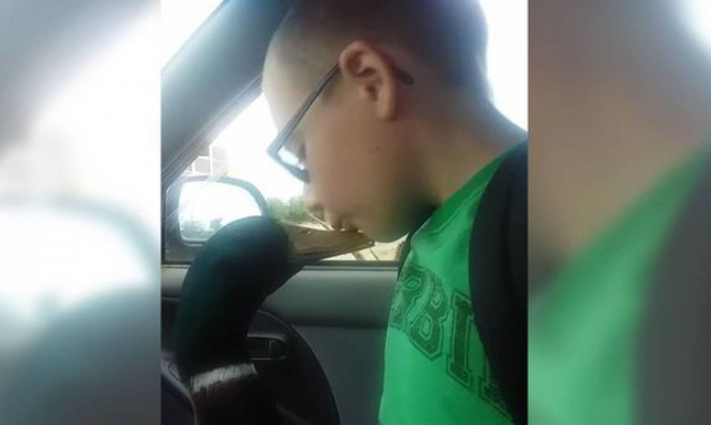 Το αγόρι που είναι φίλος με μια πάπια (video)