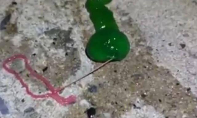 Αυτό το «απόκοσμο» σκουλήκι είναι τόσο εντυπωσιακό όσο και θανατηφόρο! (video)