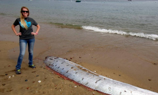 Τρόμος από το γιγάντιο ψάρι που ξεβράστηκε στις ακτές της Καλιφόρνια! (photos)