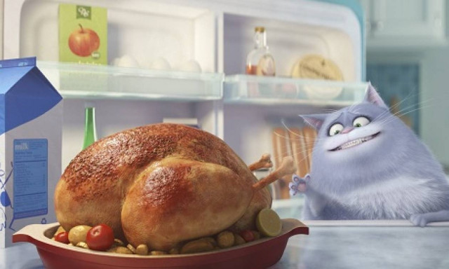 Κατοικίδια: Αναρωτιέστε τι κάνουν όταν φεύγετε από το σπίτι; Δείτε το video!