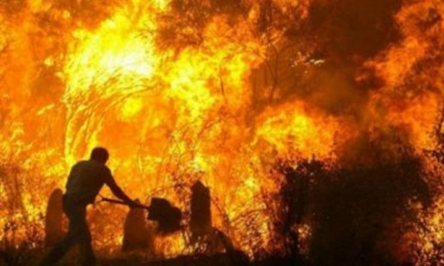 Άρειος Πάγος: Επικύρωσε τις καταδίκες του νομάρχη Ηλείας και του δήμαρχου Ζαχάρως για τις πυρκαγιές