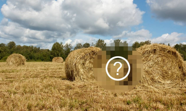 Απίστευτο! Την έπιασε στα πράσα στο χωράφι του (video)