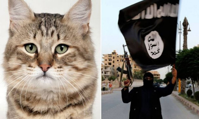 «Θα γίνω τζιχαντιστής γιατί μου πήραν τη... γάτα μου»