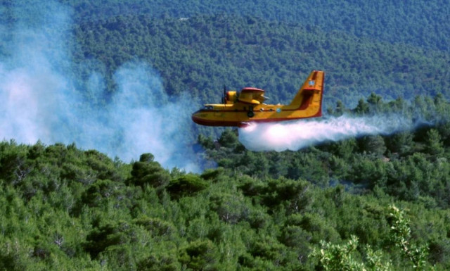 Φωτιά μαίνεται στα Οινόφυτα από το μεσημέρι της Παρασκευής (25/6)