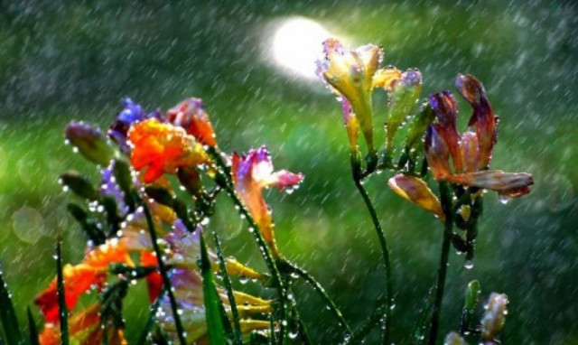 Συνεχίζονται οι βροχές την Κυριακή (28/6) - Αναλυτική πρόγνωση