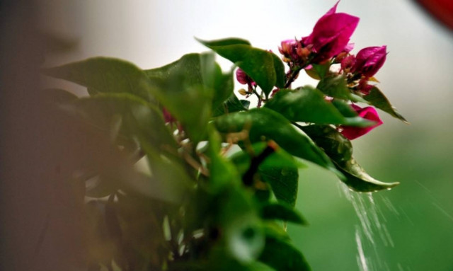 Ο καιρός των επόμενων ημερών - Πού θα συνεχίσει να βρέχει