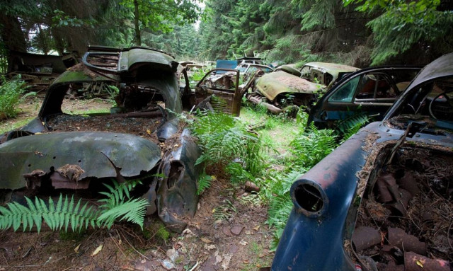 Μοναδικές εικόνες: Ο άνθρωπος τα εγκατέλειψε… η φύση τα αγκάλιασε (photos)