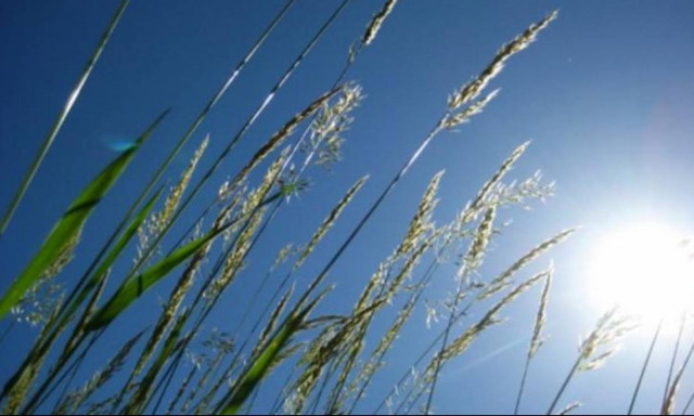 Ο καιρός την Πέμπτη (2/7) - Αναλυτική πρόγνωση