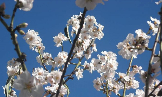 Καιρός: Ανεβαίνει η θερμοκρασία την Παρασκευή (3/7) - Αναλυτική πρόγνωση