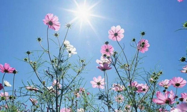 Δημοψήφισμα 2015: Με τι καιρό θα ψηφίσουμε