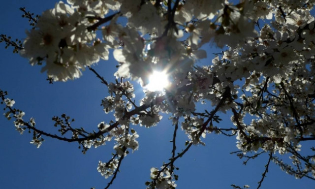 Δημοψήφισμα 2015: Με τι καιρό θα πάμε στις κάλπες