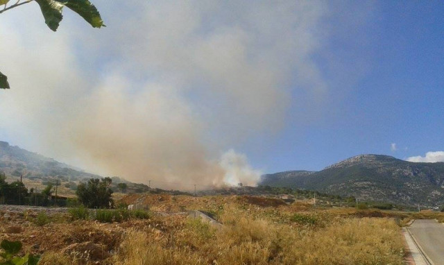 Πυρκαγιά σε εξέλιξη στη Χασιά Αττικής