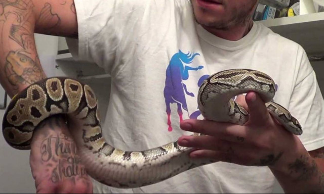 Πήγε στο σούπερ μάρκετ με τον πύθωνά του τυλιγμένο στο λαιμό του