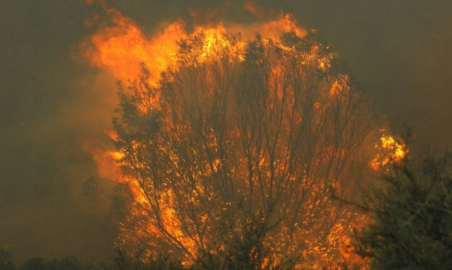 Σε ύφεση η φωτιά στο Ζευγολατιό Κορινθίας
