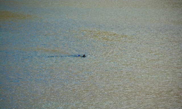 Ανασύρθηκε νεκρός δύτης από τη θάλασσα της Κυλλήνης
