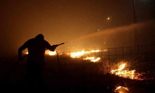 Υπό μερικό έλεγχο η πυρκαγιά στη Φυλή
