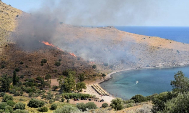 Σε εξέλιξη φωτιά στην Αίγινα