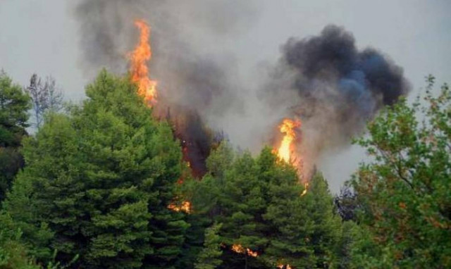 Νέα πυρκαγιά ξέσπασε κοντά στην Χαλκίδα