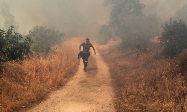 Πυρκαγιά και στην Αργολίδα