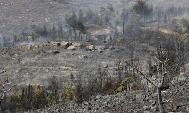 Τραγωδία στον Καρέα με τον αστυνομικό που απανθρακώθηκε