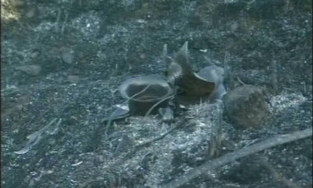 Δίστομο: Βρέθηκε εμπρηστικός μηχανισμός στον τόπο της πυρκαγιάς