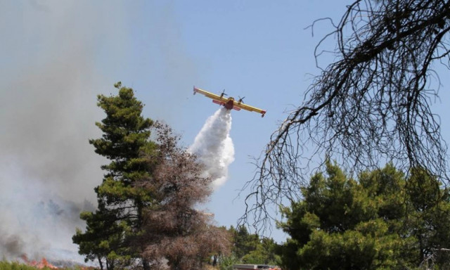 Φωτιά: Υπό έλεγχο η πυρκαγιά στη Σταμάτα