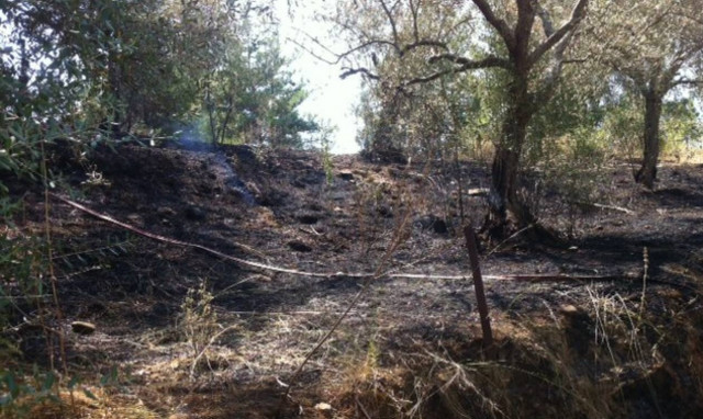 Αγρίνιο: Άμεση κατάσβεση φωτιάς στo δασύλλιο του Αγίου Χριστοφόρου