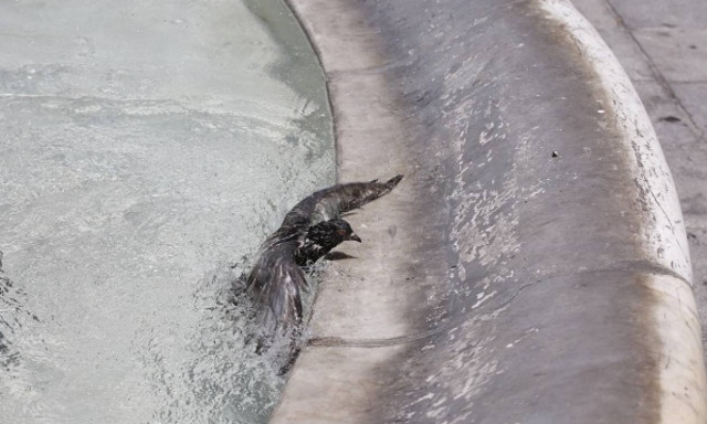 Καύσωνας: Έτσι θα φροντίσετε τον εαυτό σας και τους άλλους μέχρι να περάσει η πολλή ζέστη