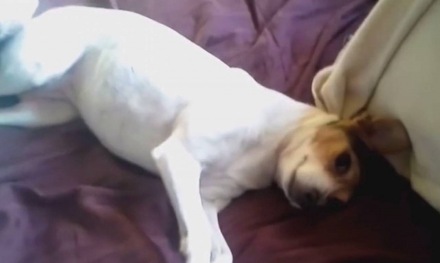 H καθημερινότητα μέσα στο σπίτι