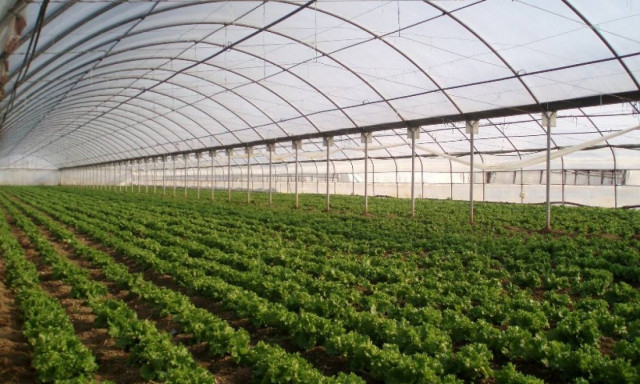 Συναντήσεις για το πρόγραμμα αξιοποίησης των γεωργικών προϊόντων