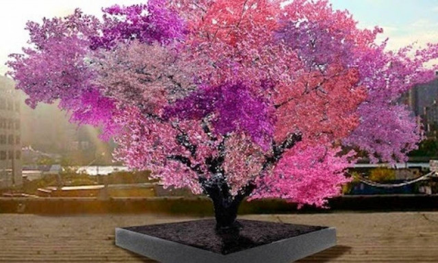 Υπάρχει δέντρο που βγάζει 40 ειδών φρούτα; Υπάρχει! (video)