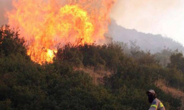 Μεγάλη πυρκαγιά στα Κάτω Δολιανά Αρκαδίας
