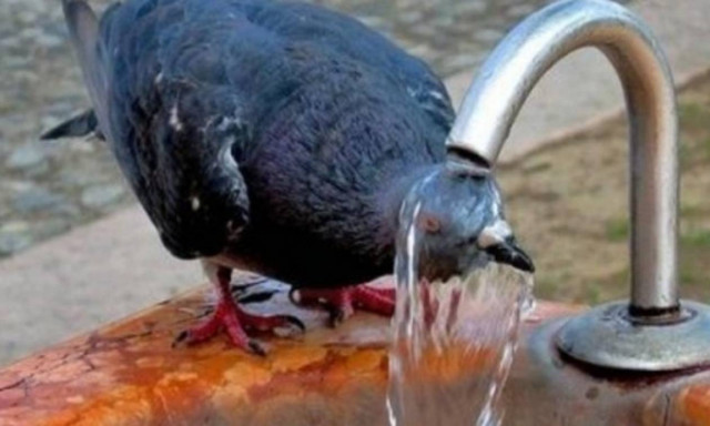 Πώς να αντιμετωπίσετε τον καύσωνα - Εγκύκλιος της Γενικής Γραμματείας Δημόσιας Υγείας